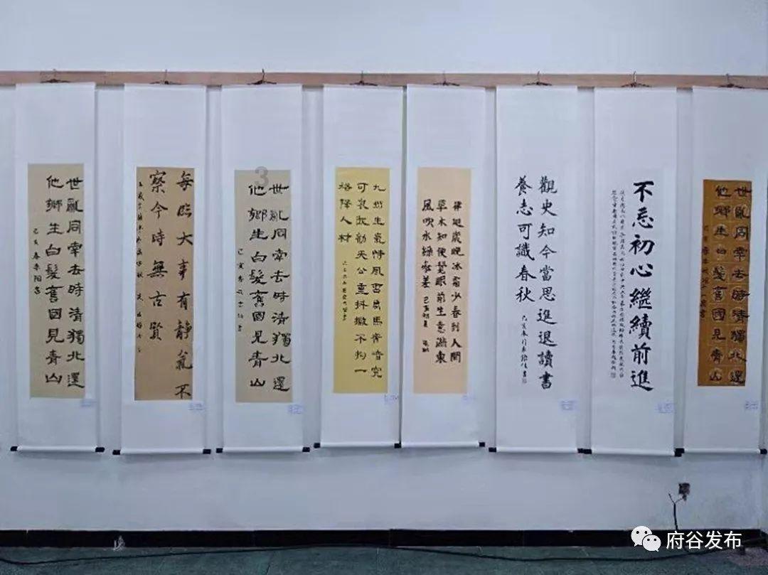 npm注册表中有748个奇特的“软件包”